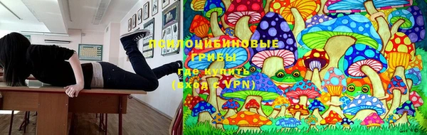 первитин Беломорск