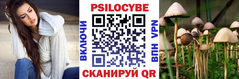 где продают   Вяземский  Псилоцибиновые грибы мицелий 